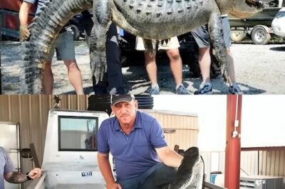 Más Allá de los Caimanes: El Rey del Pantano Troy Landry y la Cruda Batalla Contra el Cáncer y la Ley