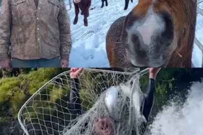 El drama detrás del telón: Un accidente mortal y un divorcio inesperado destrozan el legado de la familia Kilcher