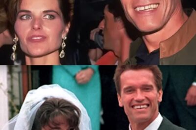 La traición que destrozó el poder: Maria Shriver rompe el silencio sobre el escándalo del hijo secreto de Arnold Schwarzenegger