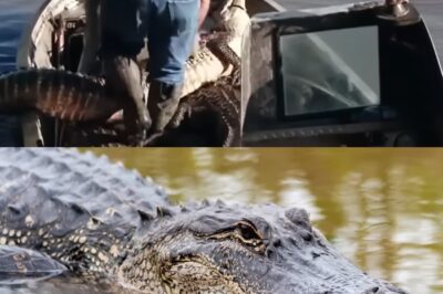 Troy Landry: El Precio Oculto del Pantano, De la Batalla Contra el Cáncer a la Vergüenza de la Caza Ilegal