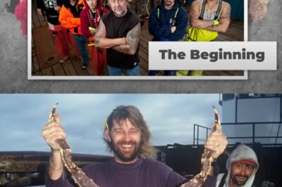 El Ocaso del Ícono del Mar: La Verdad Detrás del Escándalo que Desterró a la Familia Harris de las Pantallas