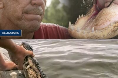 Las revelaciones secretas de Swamp People: El arresto encubierto de Troy Landry, la muerte de Junior Edwards y el alto riesgo de la fama