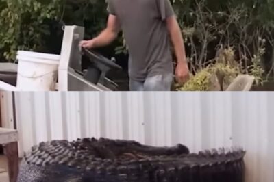 Willie Edwards: El Dolor Oculto del Pantano, La Trágica Muerte de su Hermano y el Secreto de su Hija