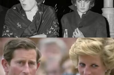 King Charles rompe el silencio: La confesión sobre Diana, la amante Camilla y el desgarrador desprecio por el nacimiento del Príncipe Harry