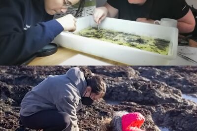 Charlotte Kilcher: La enfermedad secreta, los rumores de muerte y la batalla de la matriarca por la supervivencia en Alaska