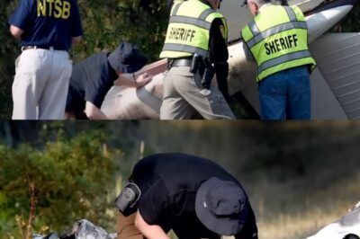 El trágico precio de la fama: La oscura verdad detrás de las estrellas de Ice Road Truckers