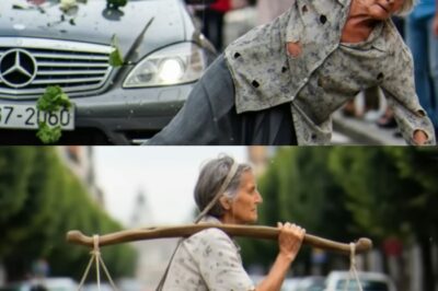 El Brazalete de Plata: La Increíble Búsqueda de un Millonario por la Madre que Nunca Conoció