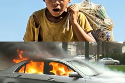 Niño de la Calle Devuelve Bolso Gucci a Millonaria y Desata una Conmovedora Historia de Adopción y Superación