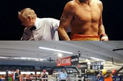 Boxeo, Traición y Cirugía: Mickey Rourke Revela la Devastadora Verdad Detrás de su Rostro Transformado y el Perro que le Salvó la Vida