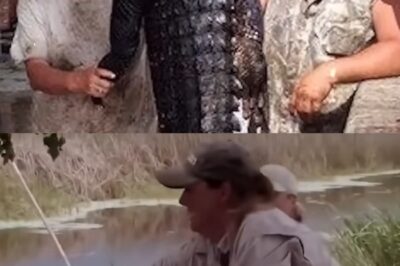 La Rebelión de la ‘Gator Queen’: El Despido Silencioso de Liz Cavalier, su Furia en Redes y su Inesperado Regreso a Swamp People