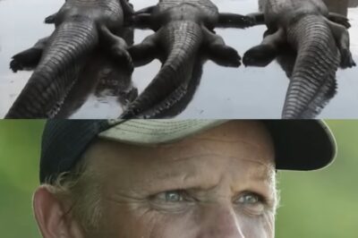 La Doble Tragedia de Willie Edwards: Muerte de su Hermano Randy y la Pérdida del Patriarca Junior Edwards en el Implacable Mar de Bering