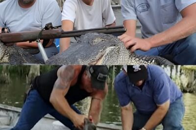 La Profecía del Pantano: Willie Edwards, el Cazador Solitario, Desafía el Peligro Tras el Luto y las Tragedias Familiares en Swamp People