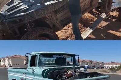 La Verdad Detrás del Héroe: El Fraude de Seguros, la Sentencia Judicial y el Épico Ascenso de Matt Wetszel a la Fama de YouTube