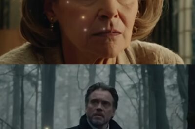 El Milagro de la Cesta: Thomas Shelton, el Millonario Solitario, Transforma su Vida al Rescatar a Tres Bebés de la Venganza Criminal