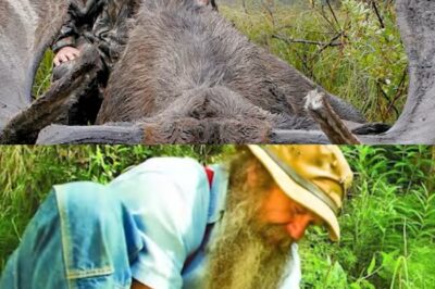 El Último Lucha de Bob Hart: El Ícono de ‘The Last Alaskans’ Enfrentó el Cáncer Tras Sobrevivir 20 Accidentes Mortales en el Ártico